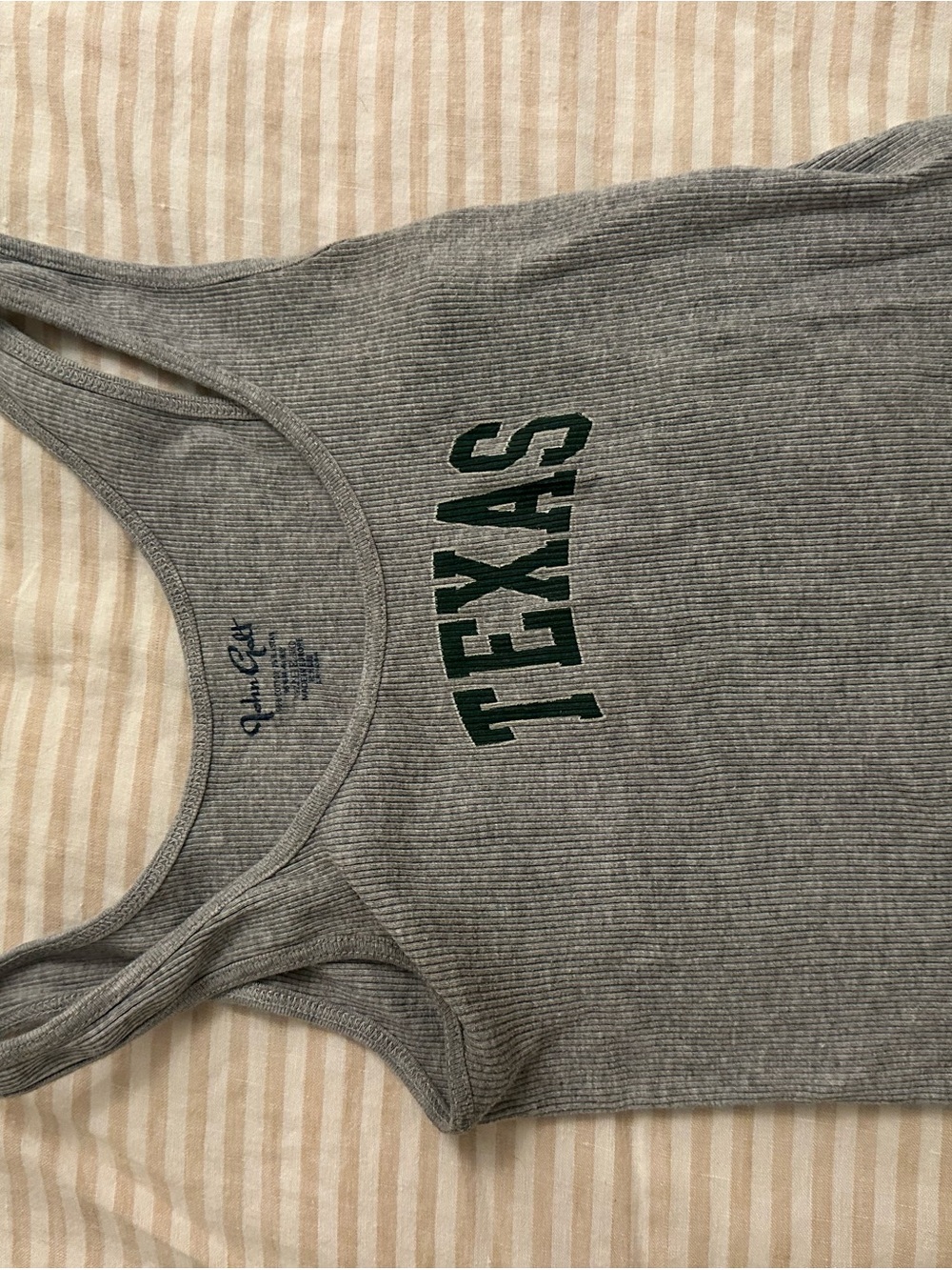 Brandy Melville Texas Ribbed Tank Top - Grey